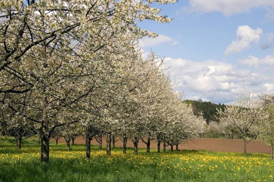 Wellness in Franconia in spring