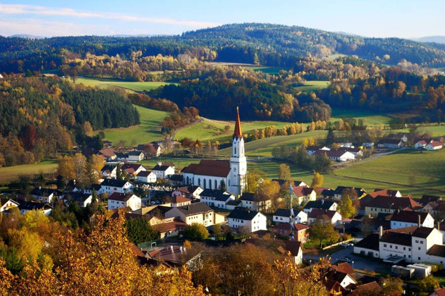 The Bavarian Forest
