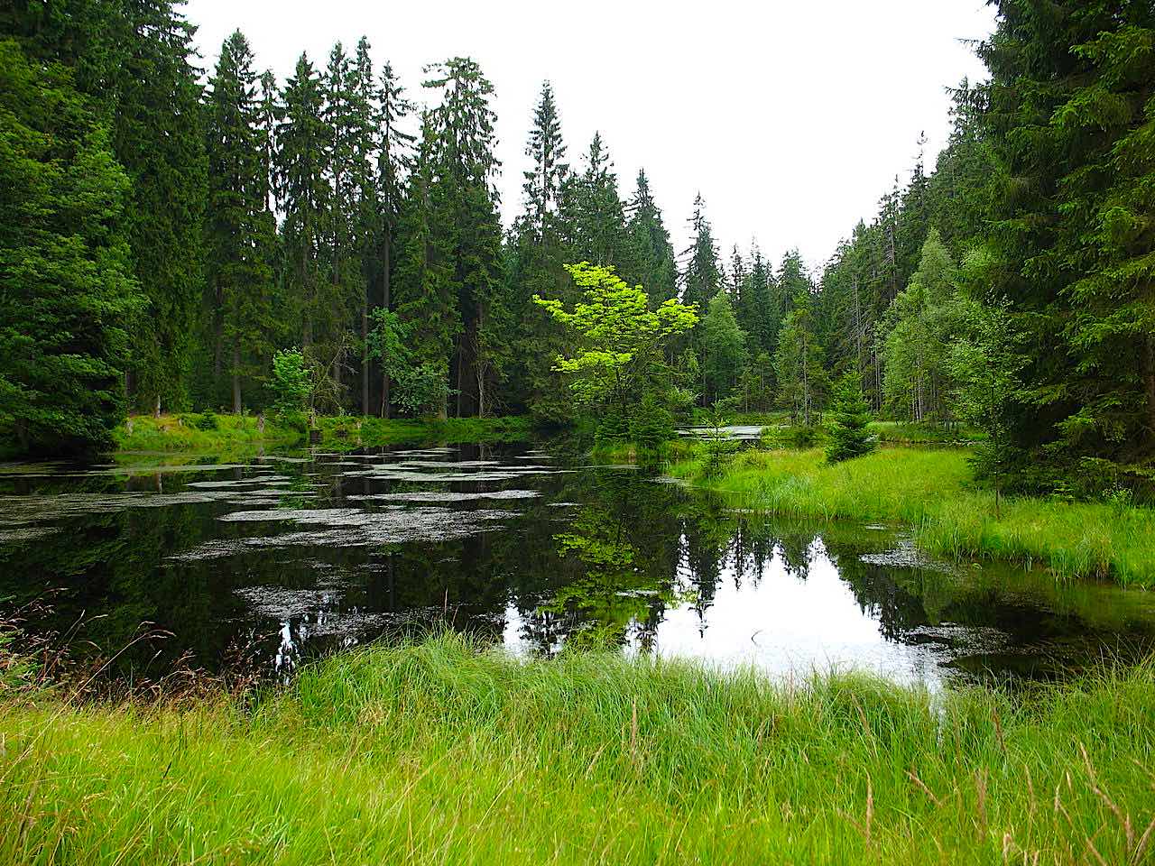 Fichtelgebirge wellness & spa hotels