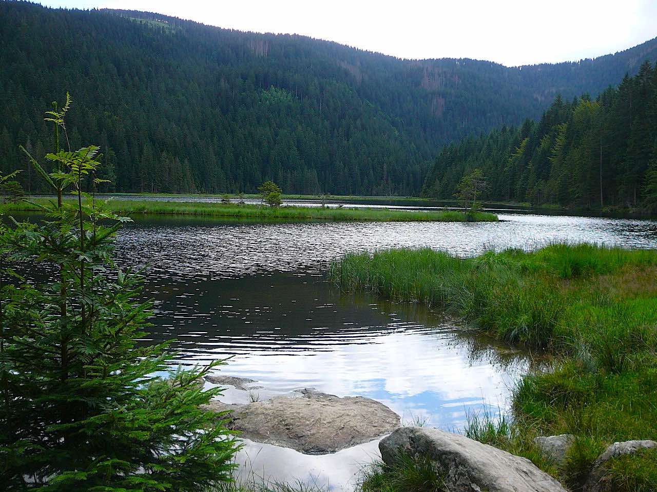 Upper Palatinate Forest wellness & spa hotels