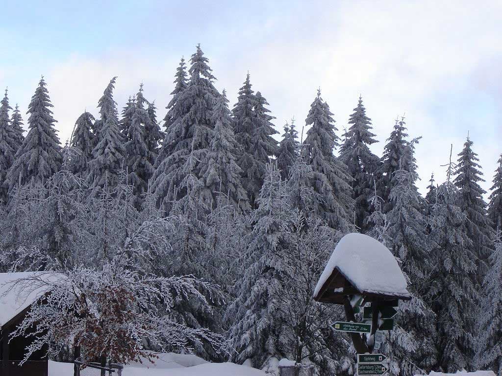 Spa hotel Thuringia — winter wellness in the Thuringian Forest
