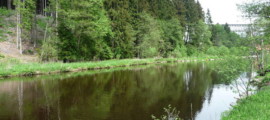 Erholsamer Sommerurlaub im Bayerischen Wald