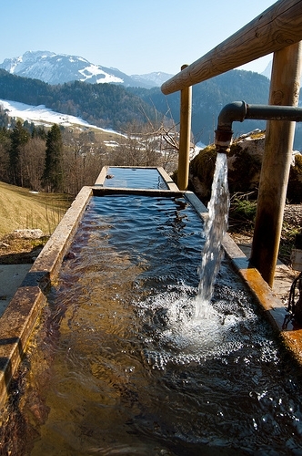 Eine öffentliche Kneipp-Anlage