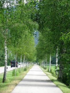 Radweg Bayern