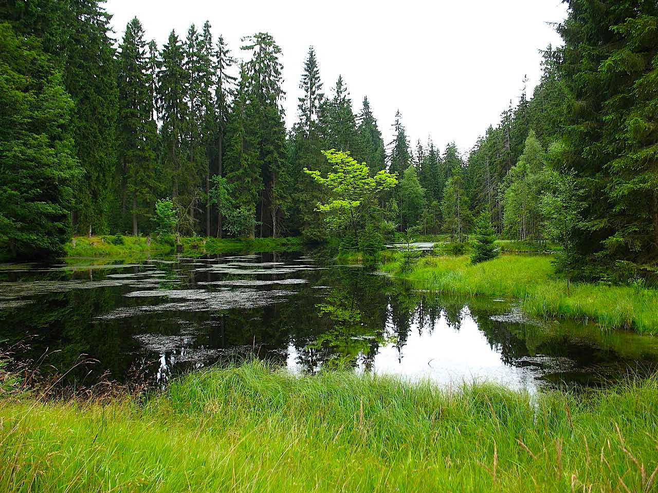 Fichtelgebirge Wellness & Wellnesshotels