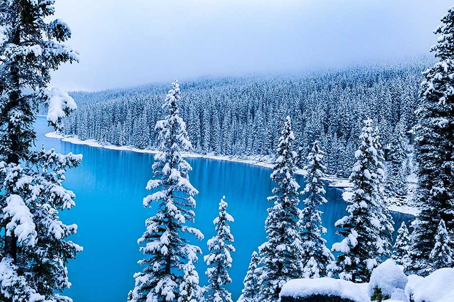 Die perfekte Wellness-Winterlandschaft: Wald & Wasser mit Schnee